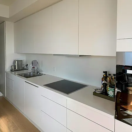Penthouse Flat With Rooftop Views Copenhague